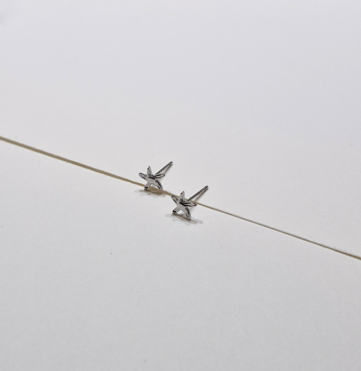 Stekers zeesterretje zilver