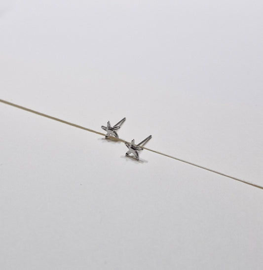 Stekers zeesterretje zilver