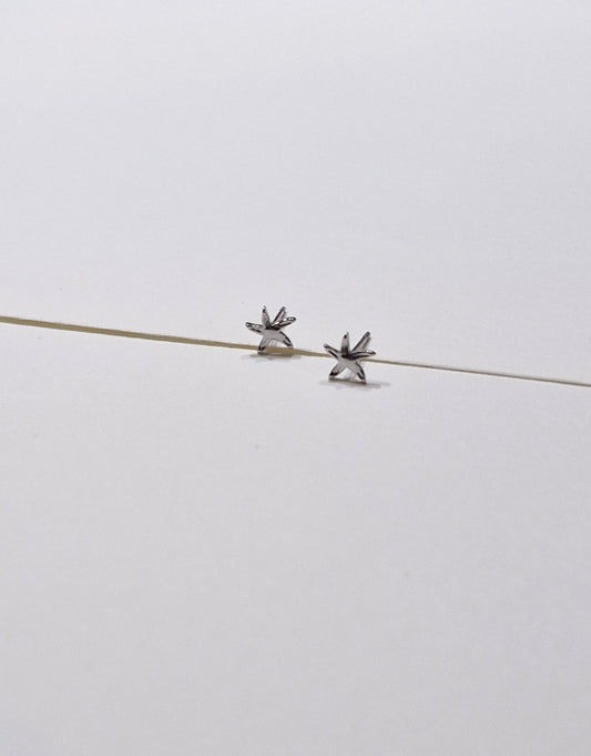 Stekers zeesterretje zilver