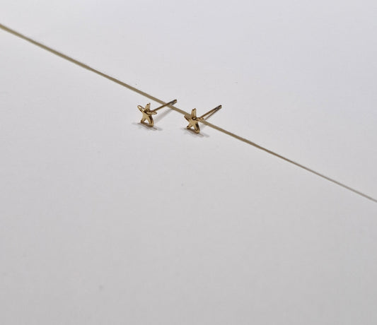 Stekers zeesterretje goud