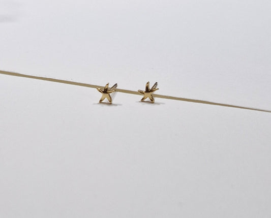 Stekers zeesterretje goud